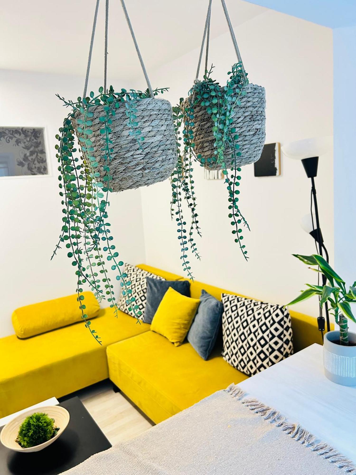 Alisz Apartment Timişoara